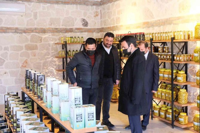 Mut’tan Hollanda’ya Zeytin Ve Yöresel Ürün İhracatı