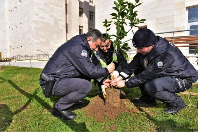 Başkan Tören: “Çalışmalarımızın Merkezinde Yeşil Kalkınma Var”