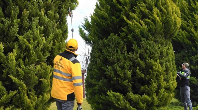 Binlerce Ağaç Bakımdan Geçti