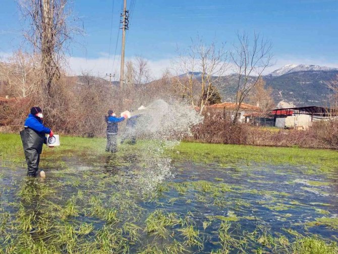 Karabağlar Yaylası’nda Vektörle Mücadele