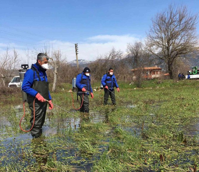 Karabağlar Yaylası’nda Vektörle Mücadele