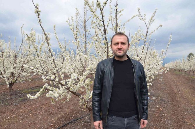 Çiçek Açan Meyve Bahçeleri Amik Ovası’nı Renklendirdi
