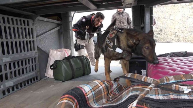 43 İlin Geçiş Güzergahında Sıkı Denetim: Narkotik Köpeği ’Adam’ Didik Didik Arıyor