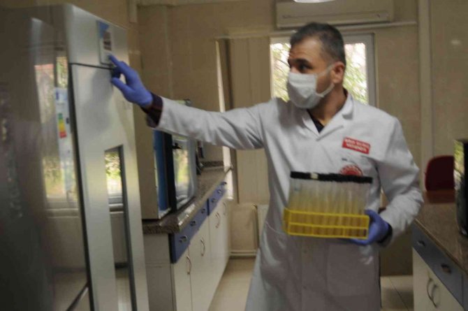 Türkiye’nin İlk Yerli Ve Milli Mantar Çeşitleri Yaprak77 Ve Soylu77 Tescillendi