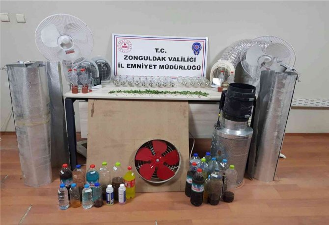 İ̇zinsiz Kenevir Yetiştiren Şahsa Gözaltı