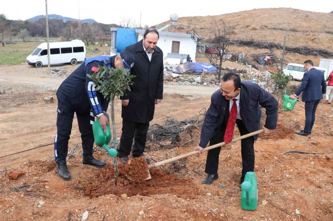 Güzelbağ Yangın Bölgesinde 3 Bin 800 Fidan Toprakla Buluştu
