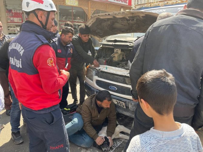 Aracın Çarptığı Köpeğin Ayakları Motora Sıkıştı