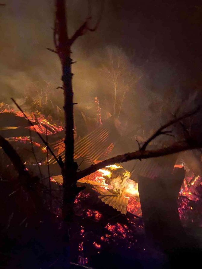 Artvin’de Çıkan Yangında İki Katlı Köy Evi Kullanılamaz Hale Geldi
