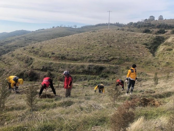 Aydın’da 112 Fidan Toprakla Buluştu