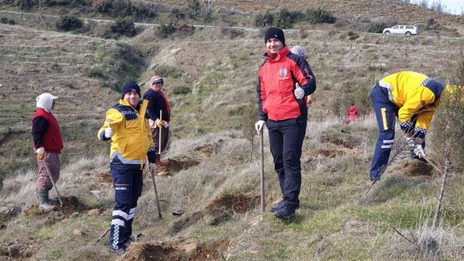 Aydın’da 112 Fidan Toprakla Buluştu
