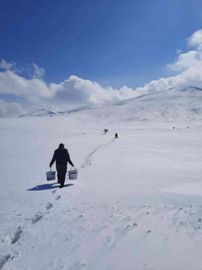 Bayburt’ta Yaban Hayvanları Unutulmuyor