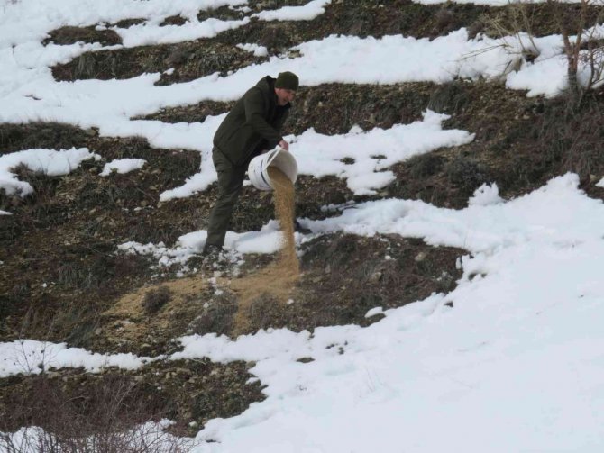 Bayburt’ta Yaban Hayvanları Unutulmuyor