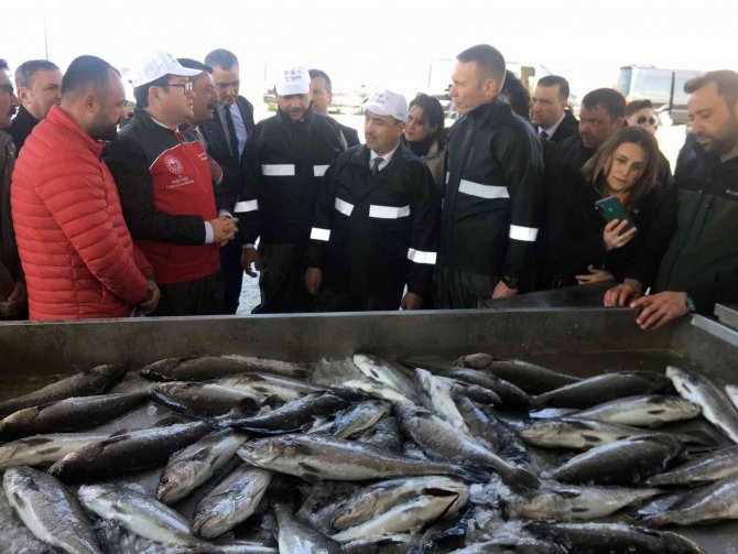 Balıkçılar Ağı Tarladan Çekti