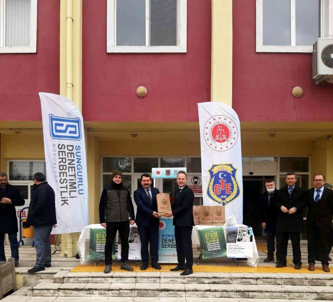 Sungurlu’da 300 Fidan Dağıtıldı