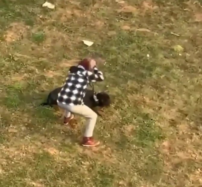 Düzce’de Köpeğe Şiddet Uygulayan Şahıs Gözaltına Alındı