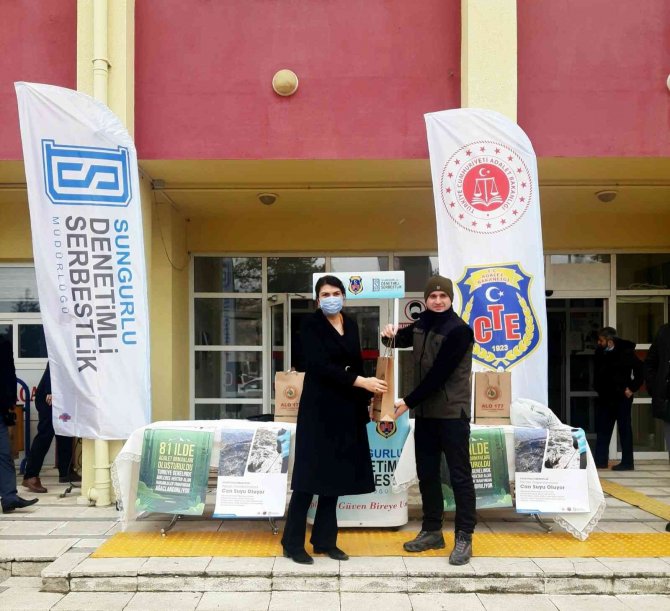 Sungurlu’da 300 Fidan Dağıtıldı