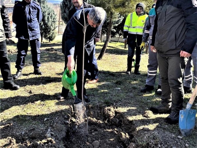 Gediz Dayınlar İ̇lkokulunda Fidan Dikim Etkinliği