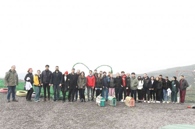 Tedavileri Tamamlanan 3 Adet Kızıl Şahin, Belen’de Özgürlüğüne Kavuştu