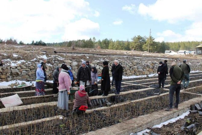 Kaymakam Özay’dan, Orman Fidanlığı Ziyareti