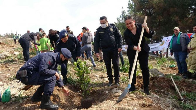 Kozan’da Yanan Ormanlar Yeniden Fidanla Buluşuyor