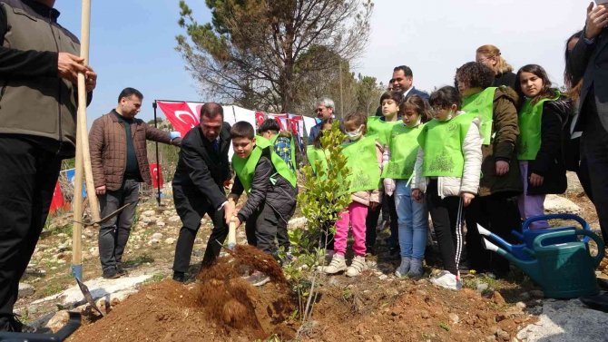 Kozan’da Yanan Ormanlar Yeniden Fidanla Buluşuyor