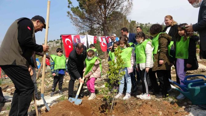 Kozan’da Yanan Ormanlar Yeniden Fidanla Buluşuyor