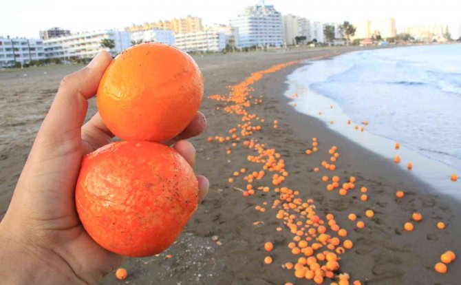 Mersin’de Sahil Portakal Doldu