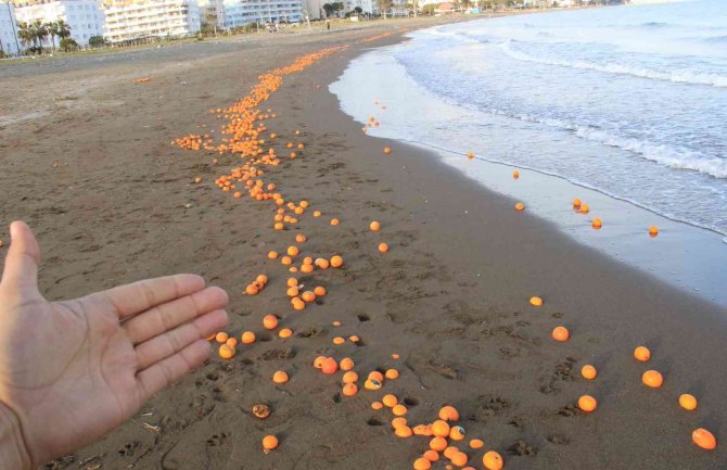 Mersin’de Sahil Portakal Doldu