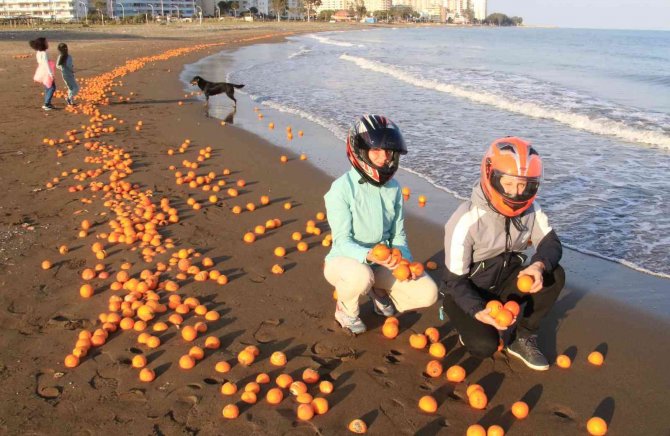 Mersin’de Sahil Portakal Doldu