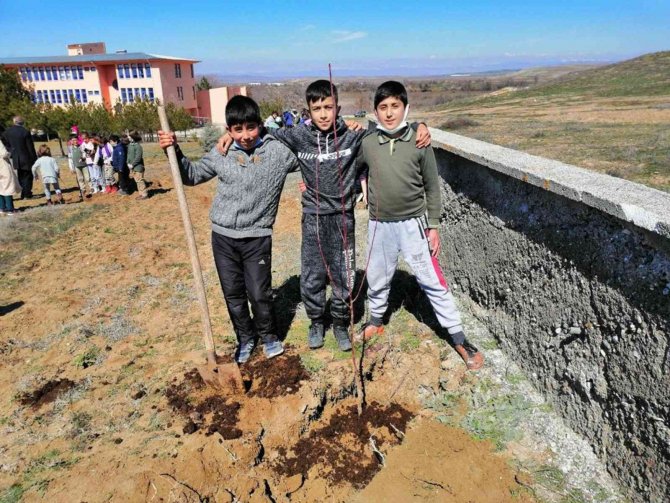 Öğrenciler Okullarının Bahçesini Ağaçlandırdı