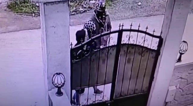 4 Ayrı Evden 200 Bin Lira Değerinde Ziynet Eşyası Ve Para Çaldılar