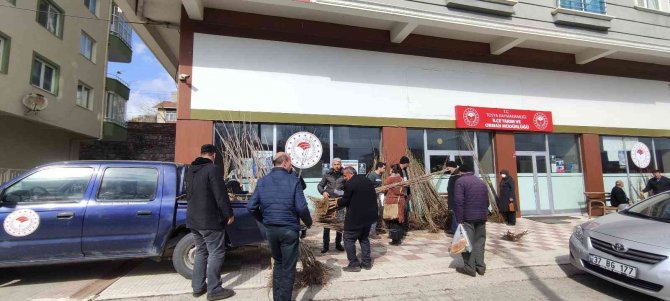 Tosya’da Çiftçiye Yüzde 50 Hibeli Fidan Dağıtıldı