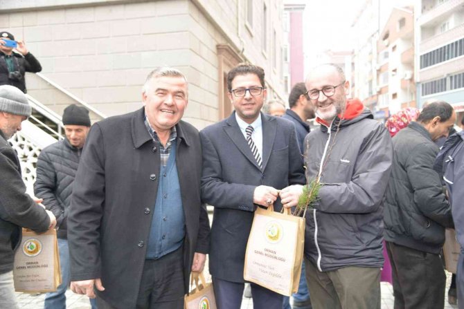 Türkeli’de Vatandaşlara Bin Fidan Dağıtıldı