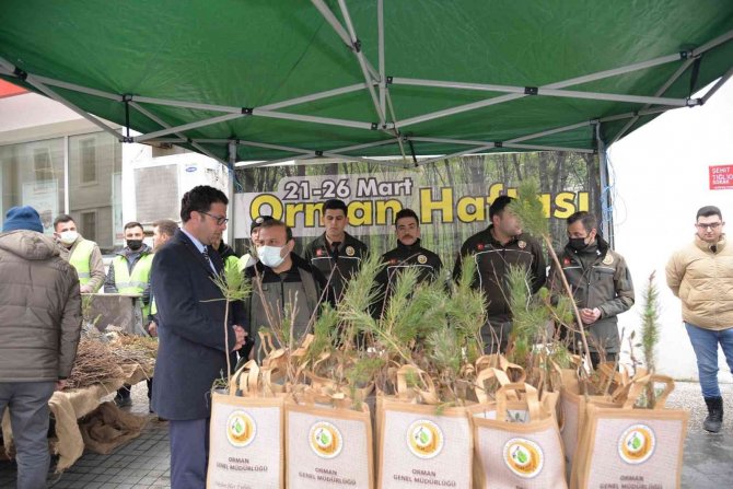 Türkeli’de Vatandaşlara Bin Fidan Dağıtıldı
