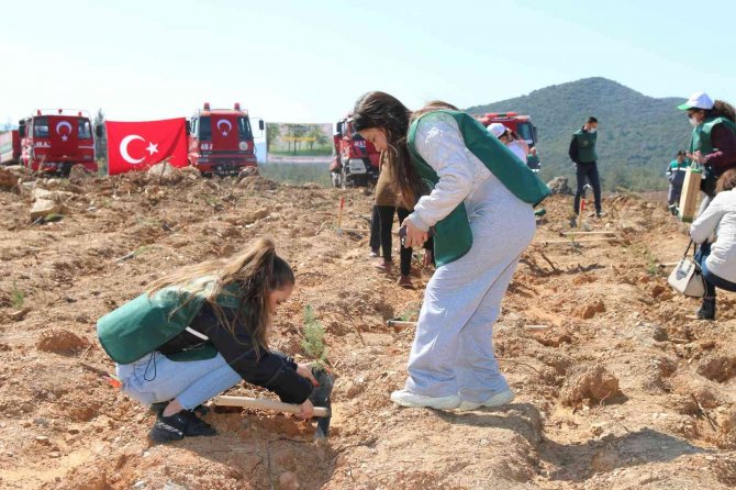 Yanan Ormanların Yerine Fidanlar Toprakla Buluştu