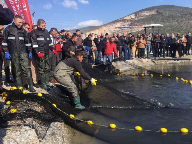 Balıkçılar Ağı Tarladan Çekti