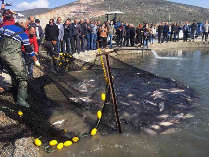 Balıkçılar Ağı Tarladan Çekti