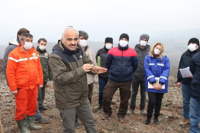 Sakarya Orman Bölge Müdürlüğü 2021’de Hedefine Yüzde 100 Ulaştı