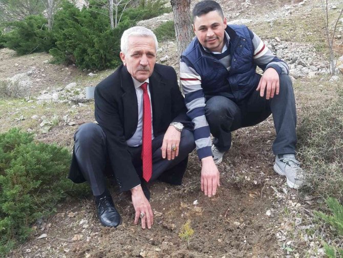 Kırkağaç’ta 176 Fidan Toprakla Buluştu