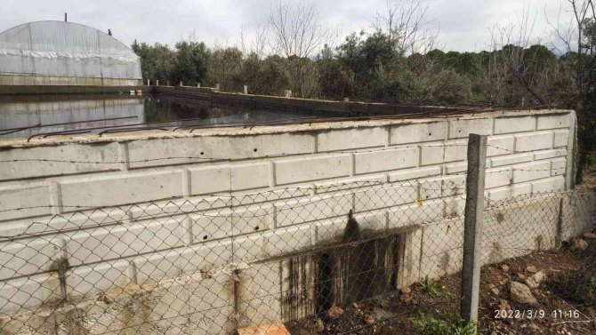 Tarımsal Alanları Kirleten Zeytinyağı Fabrikasına 262 Bin Tl Ceza