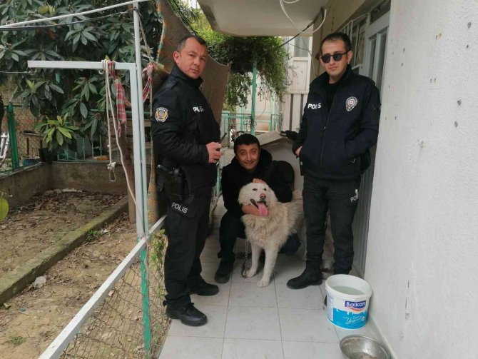 Çalınan Köpeğine 2 Hafta Sonra Kavuştu