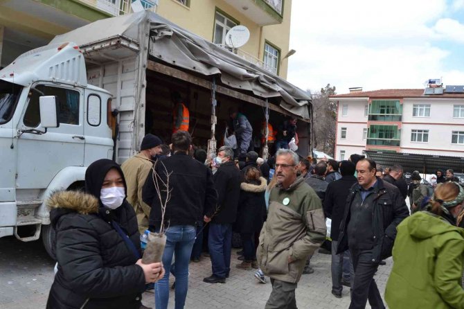 Burdur’da 15 Bin Fidan Ücretsiz Dağıtıldı