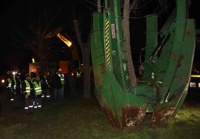 Mudanya Yolunda Ağaç Seferberliği