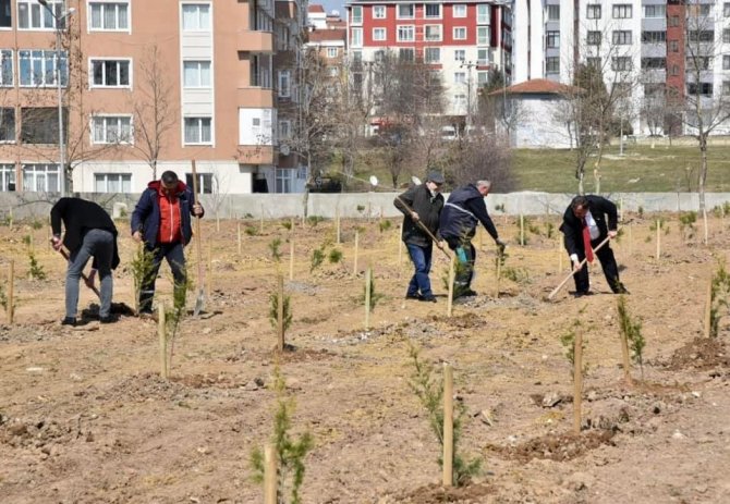 Çorlulu Muhtarlardan Hatıra Ormanı