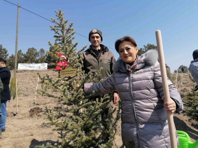 Kütahya’da Bin 500 Fidan Toprakla Buluştu