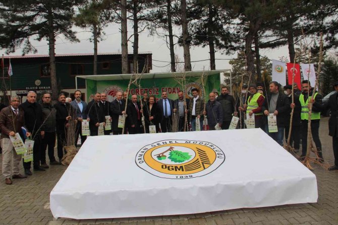 Elazığ’da Üreticilere 6 Bin 500 Dut Fidanı Dağıtıldı