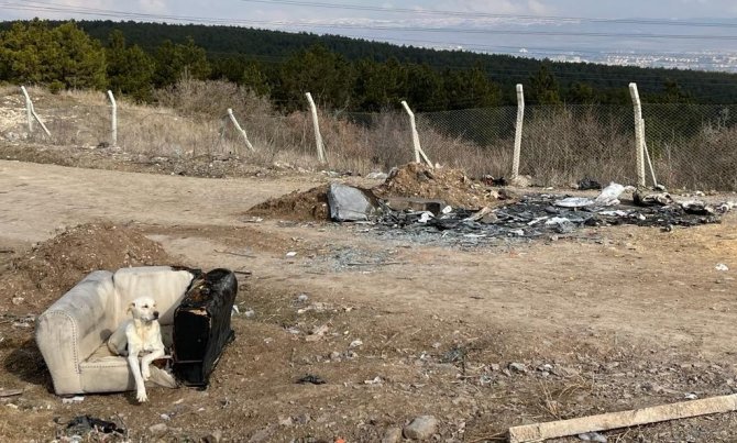 Bu Da Bir Başka Duyarsızlık Örneği