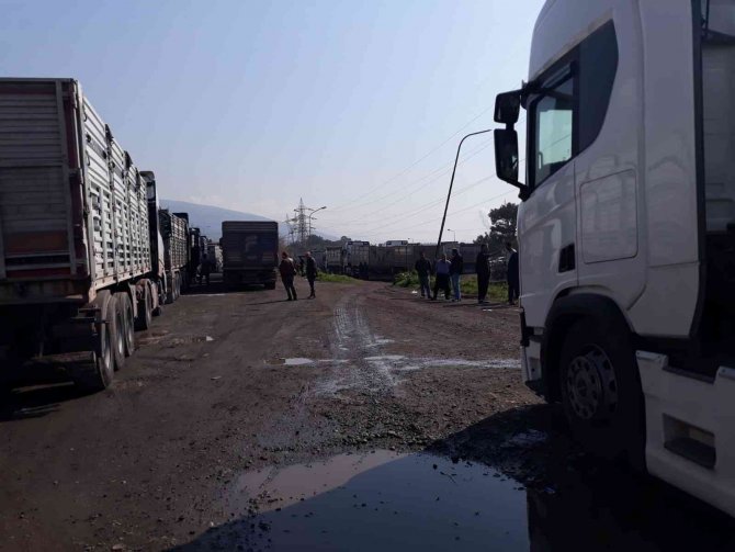Tır Sürücüsü Park Halindeki Aracının İçinde Ölü Bulundu