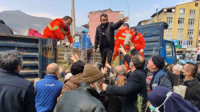 Karabük’te 3 Bin 500 Fidan Vatandaşlara Ücretsiz Dağıtıldı