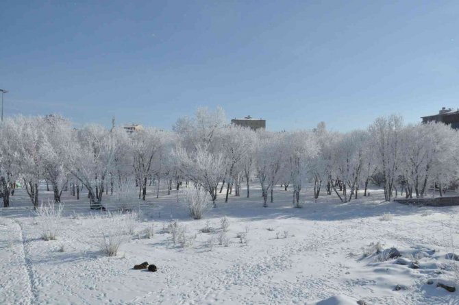 Kars’ta Eksi 13’ü Gördü, Ağaçlar Kırağı Tuttu